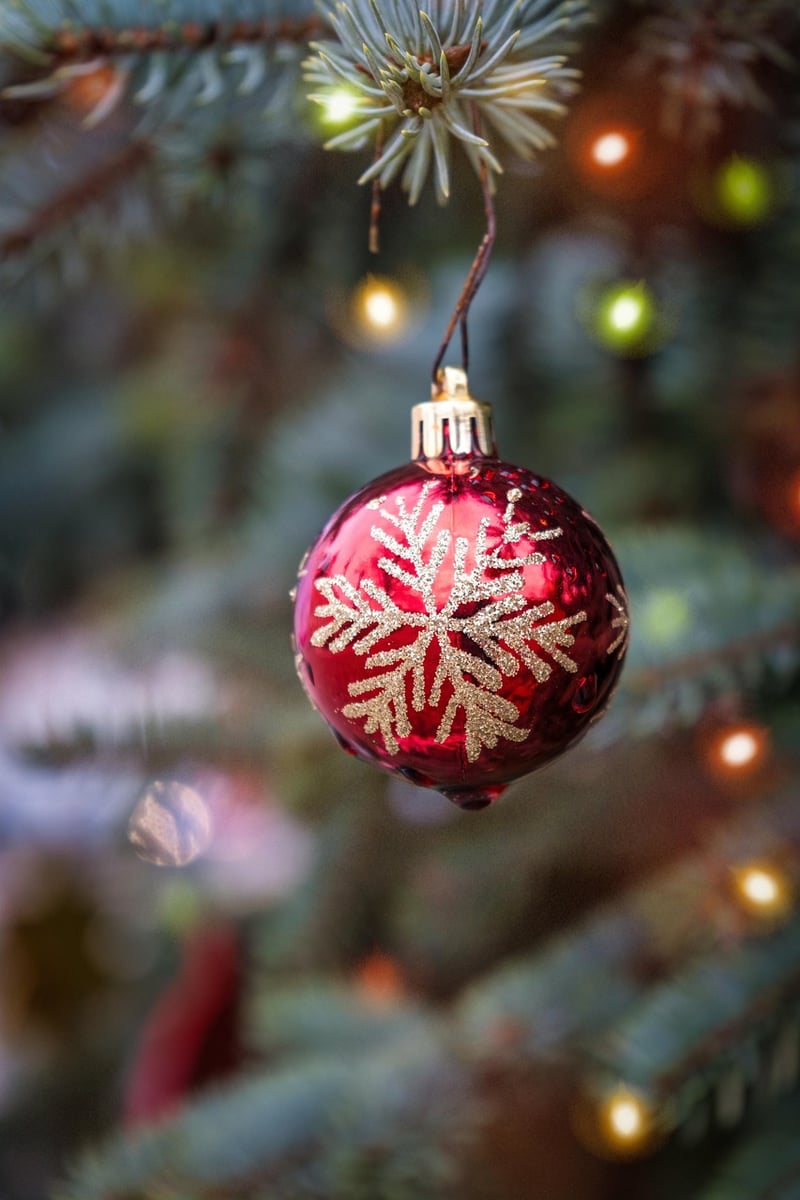 Fairy Lights Displays